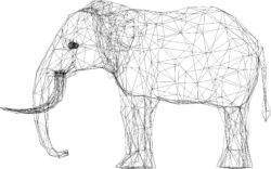 Wireframes